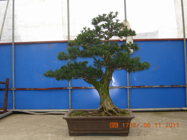 DSCN4511.JPG