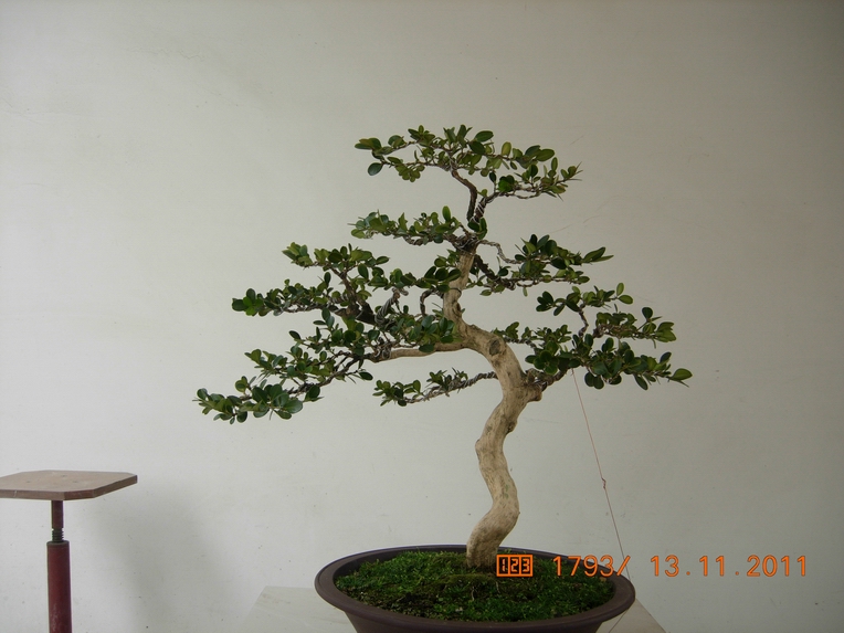 DSCN4622.JPG