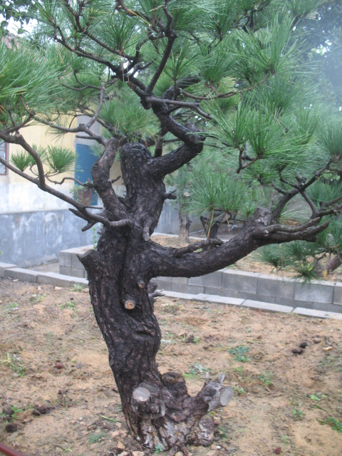 2011.11.16 005.jpg