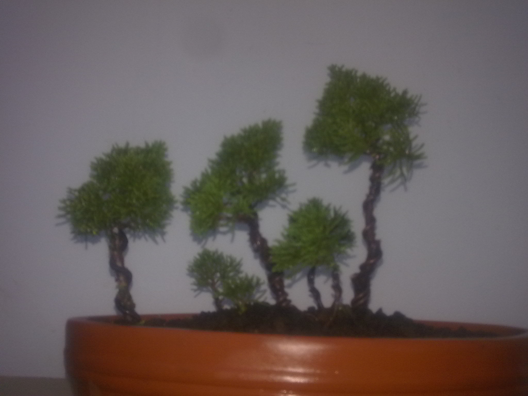20111105341.jpg