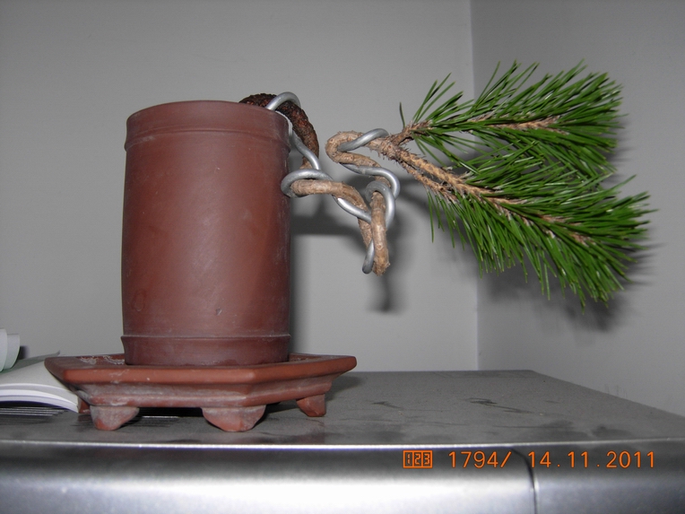 DSCN4626.JPG