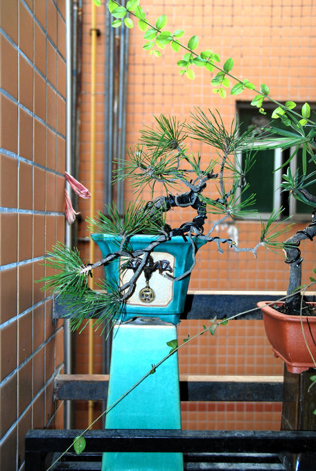 DSC_0447.JPG