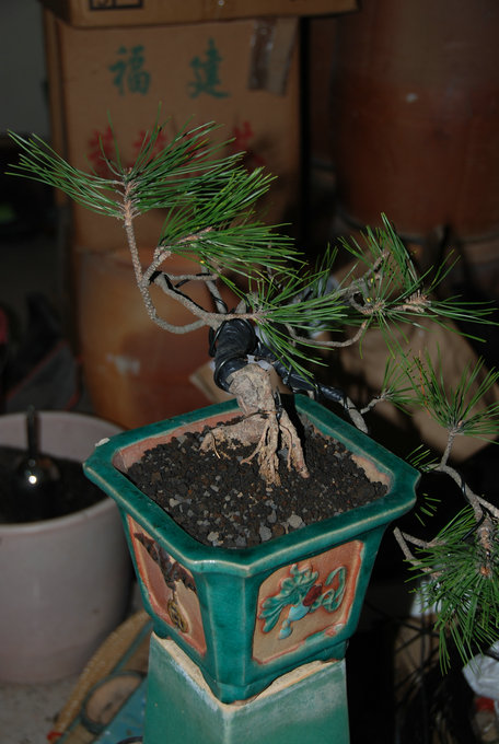 DSC_0425.JPG