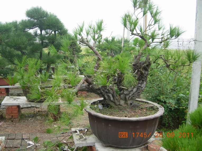 DSCN4414.JPG