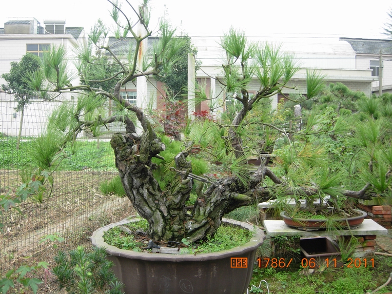 DSCN4539.JPG