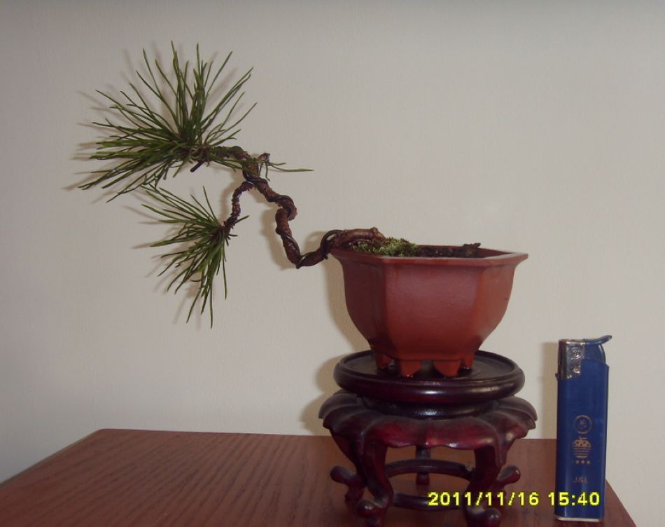SDC12304.JPG