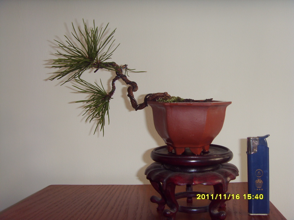 SDC12305.JPG