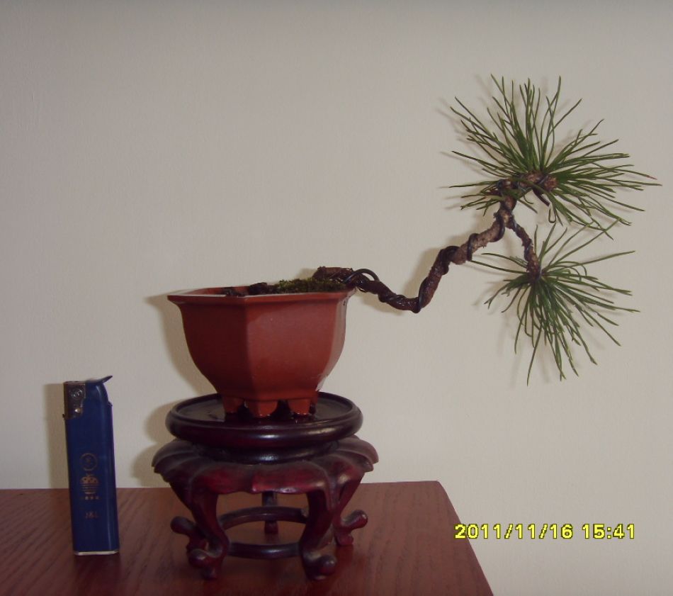 SDC12307.JPG