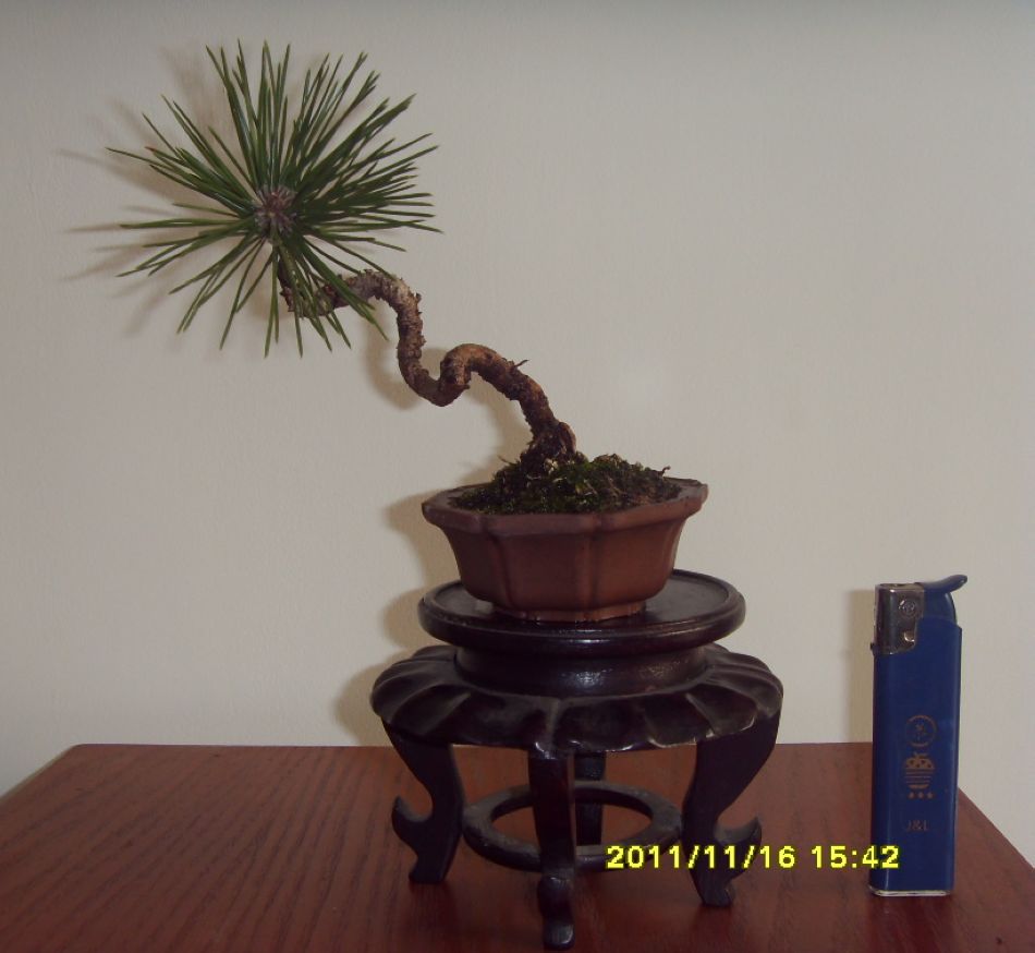 SDC12309.JPG