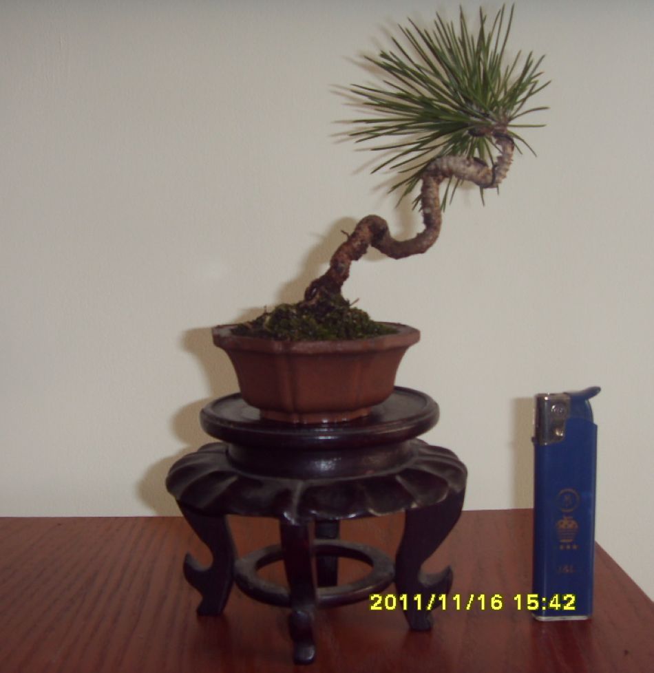SDC12311.JPG