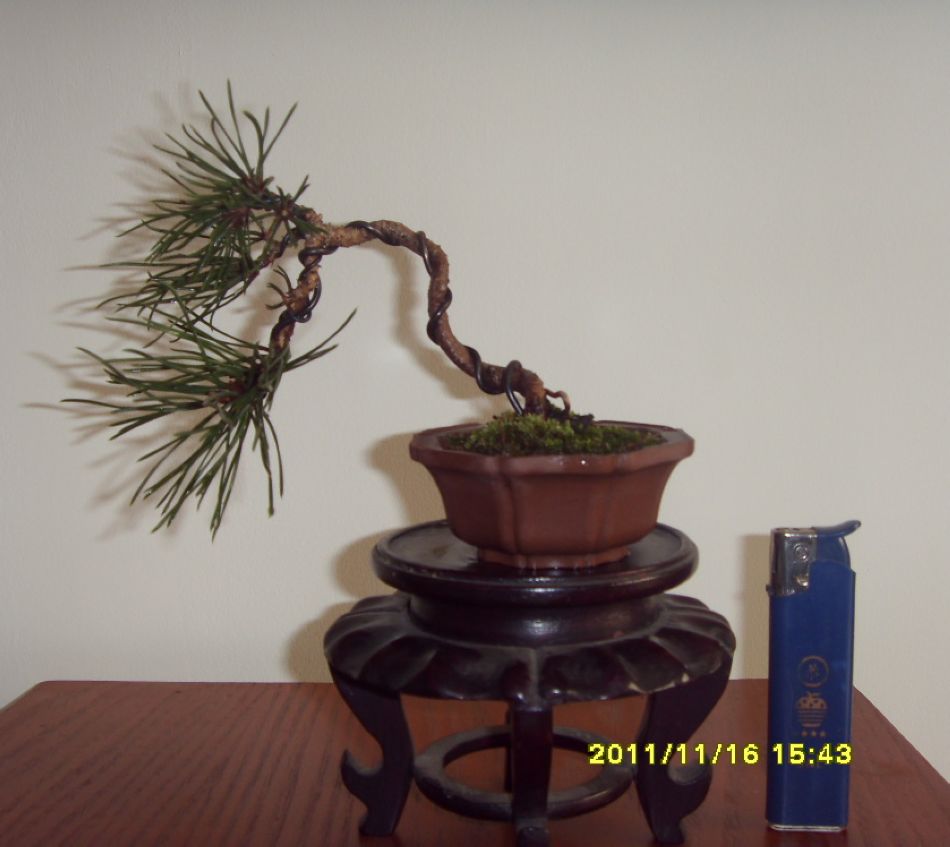 SDC12312.JPG