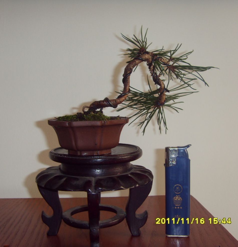SDC12314.JPG
