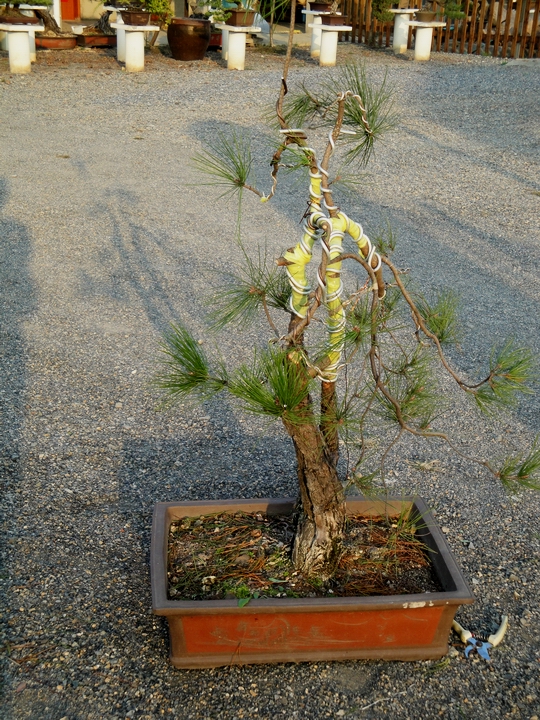 DSC07734.JPG