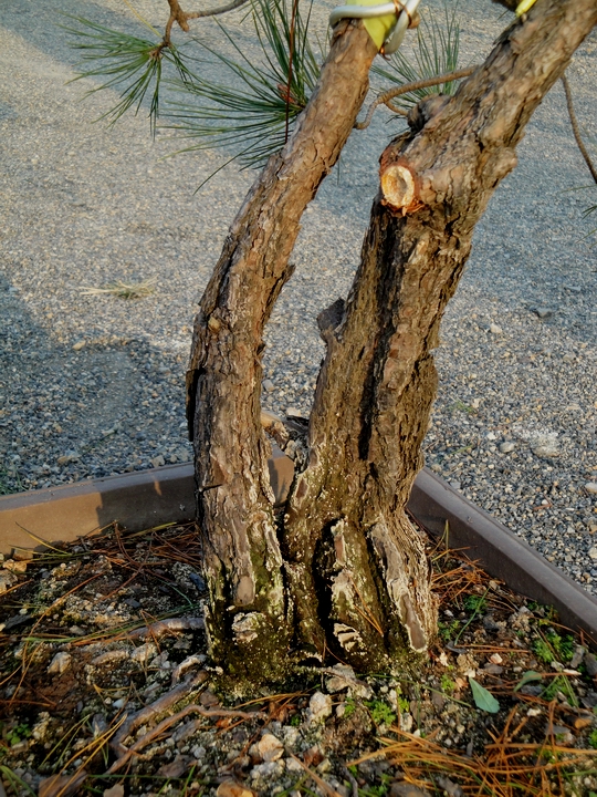 DSC07735.JPG