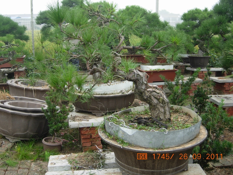 DSCN4408.JPG