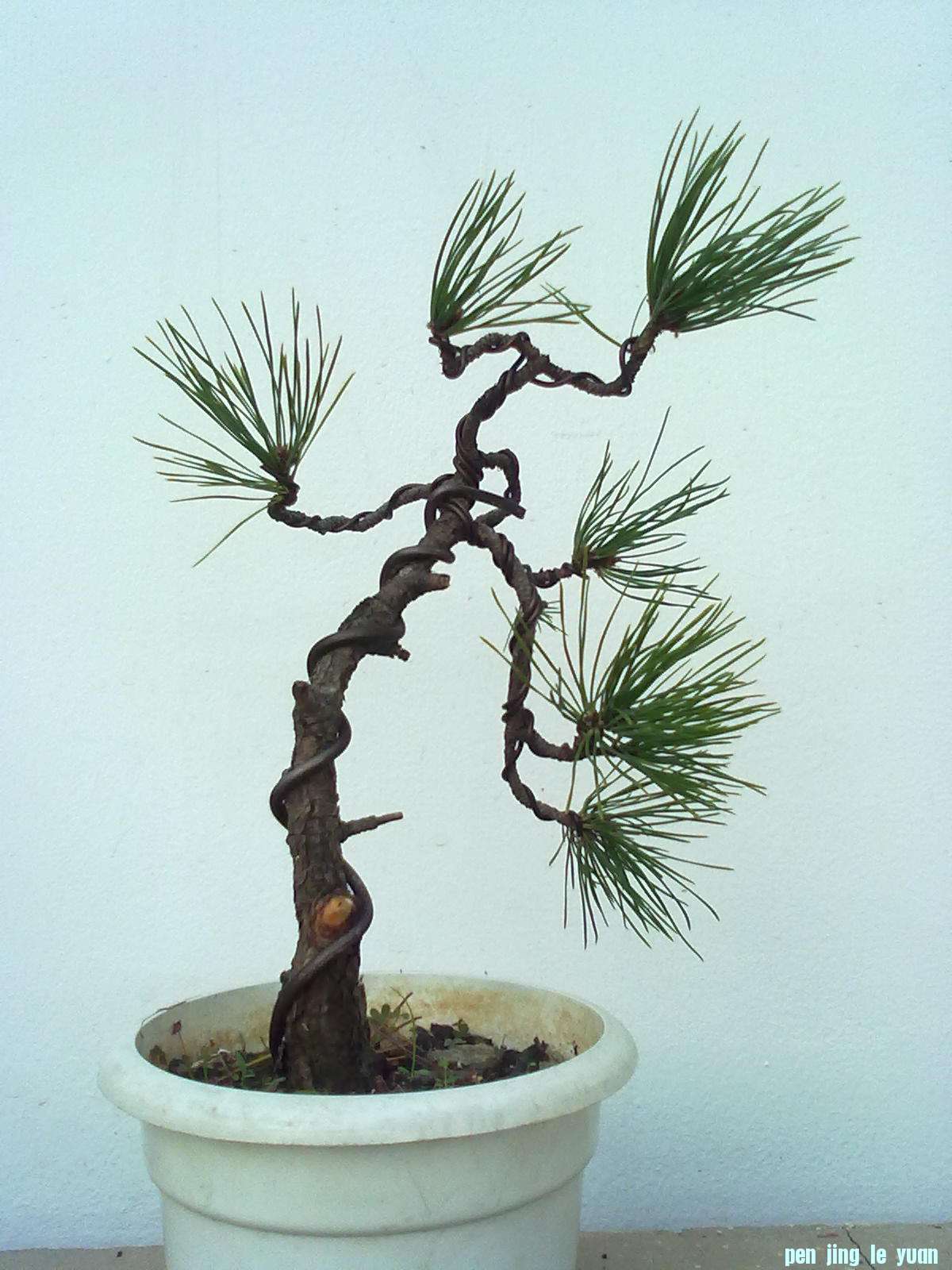 201111171048.jpg