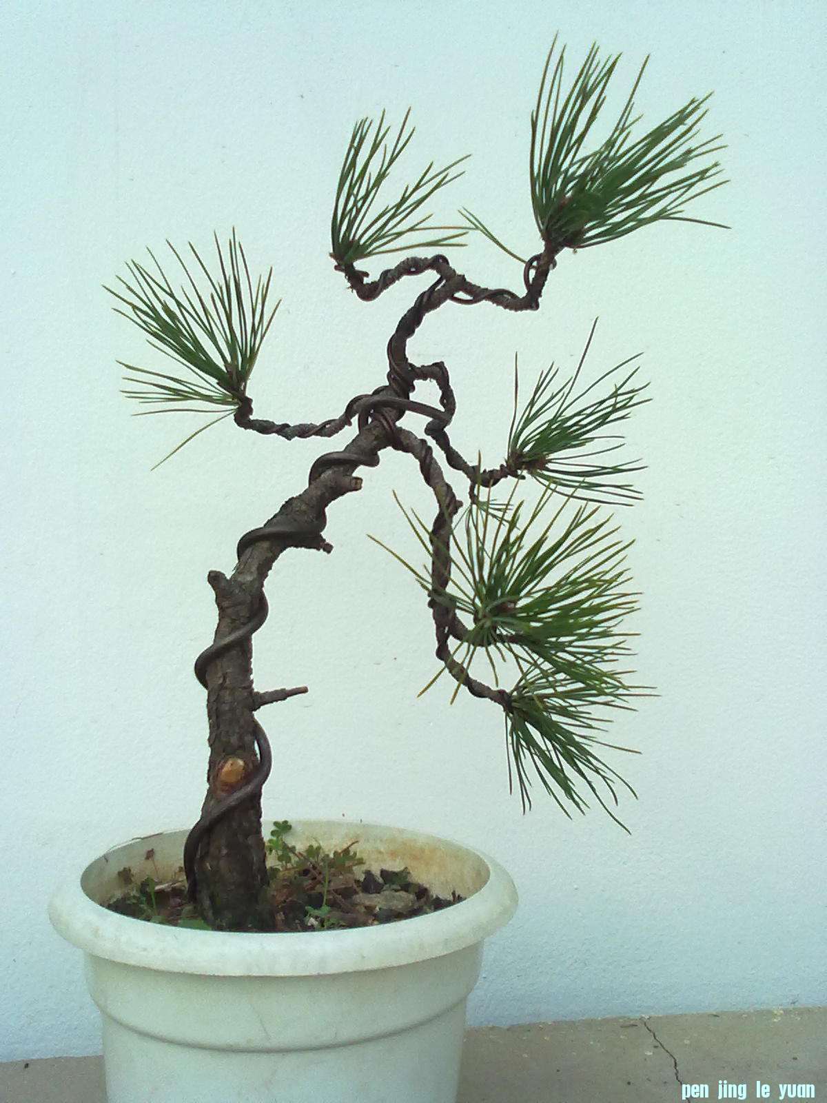 201111171049.jpg