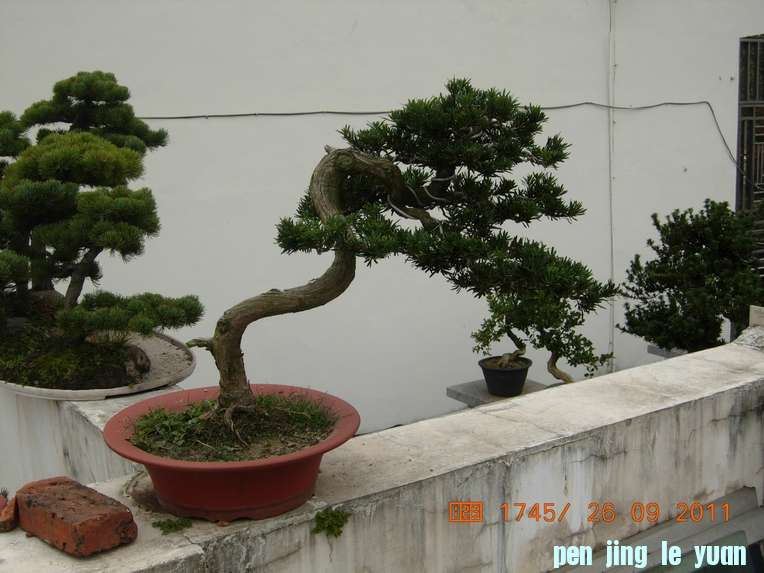 DSCN4444.JPG