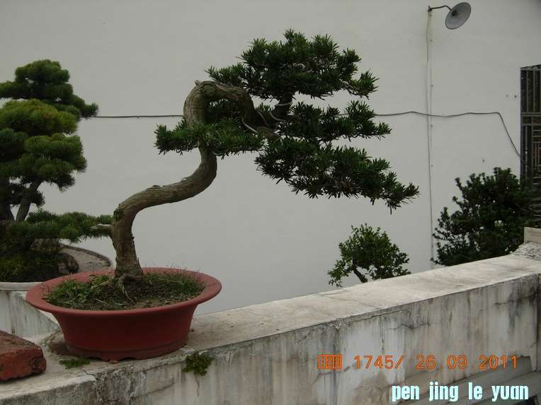 DSCN4445.JPG