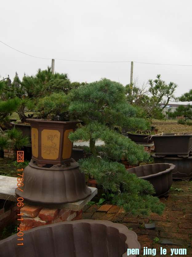 DSCN4528.JPG