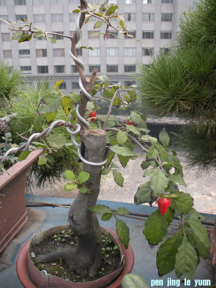 ѻ 070.jpg