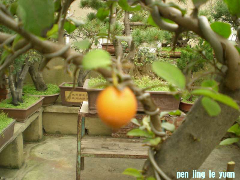 DSCN2176.JPG