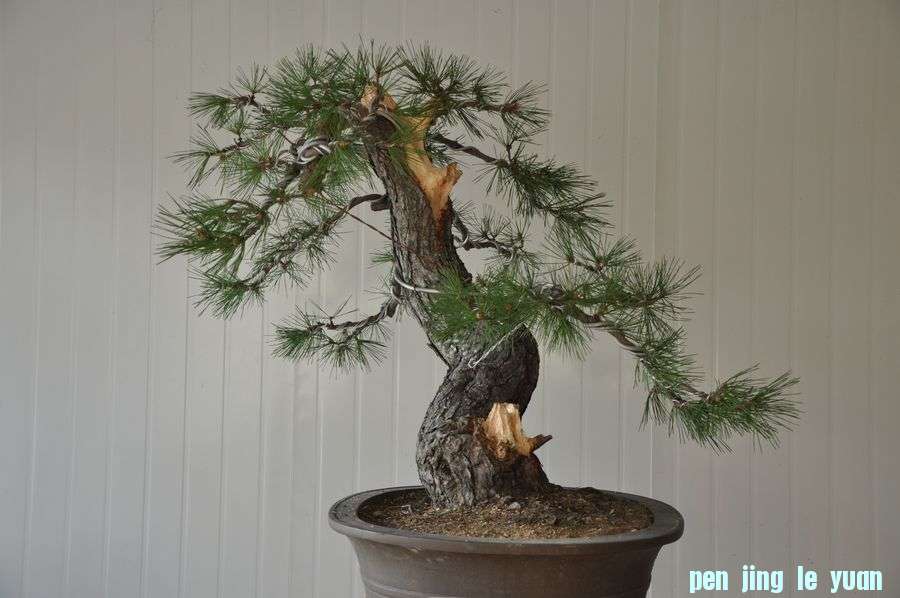 Ƭ 009.jpg