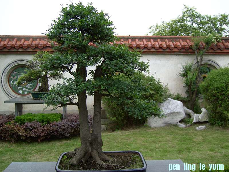 PICT0357_.jpg