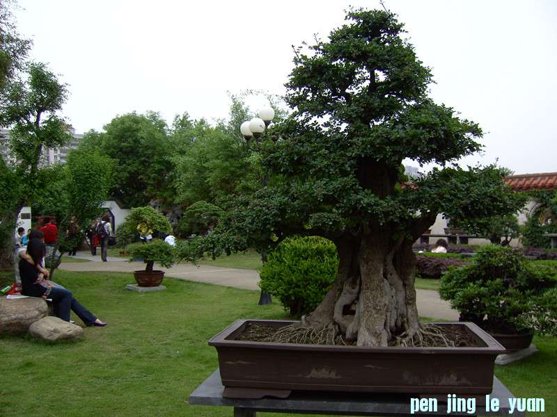 PICT0338_.jpg