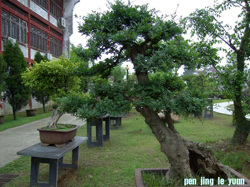 PICT0341_.jpg