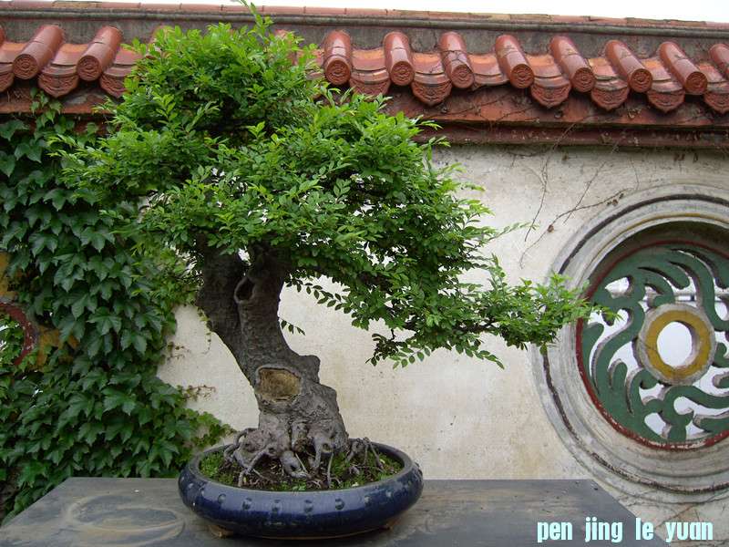 PICT0340_.jpg