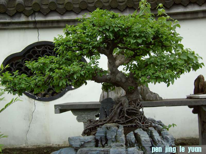 PICT0344_.jpg