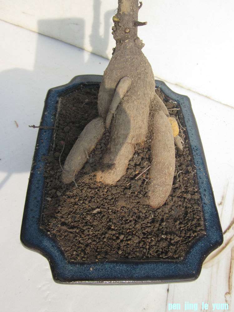 09.jpg