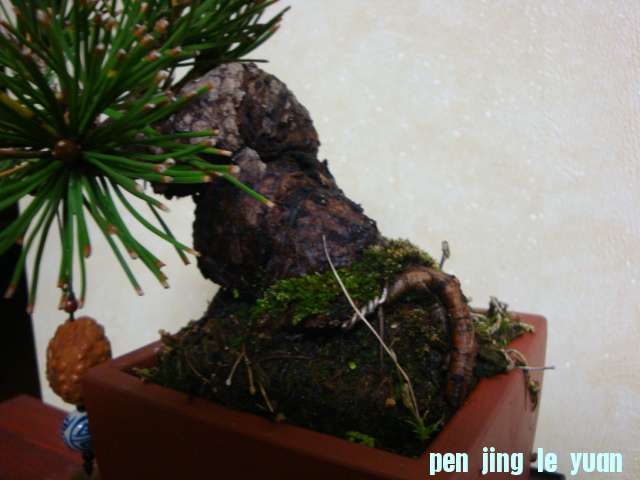 DSC06902.JPG