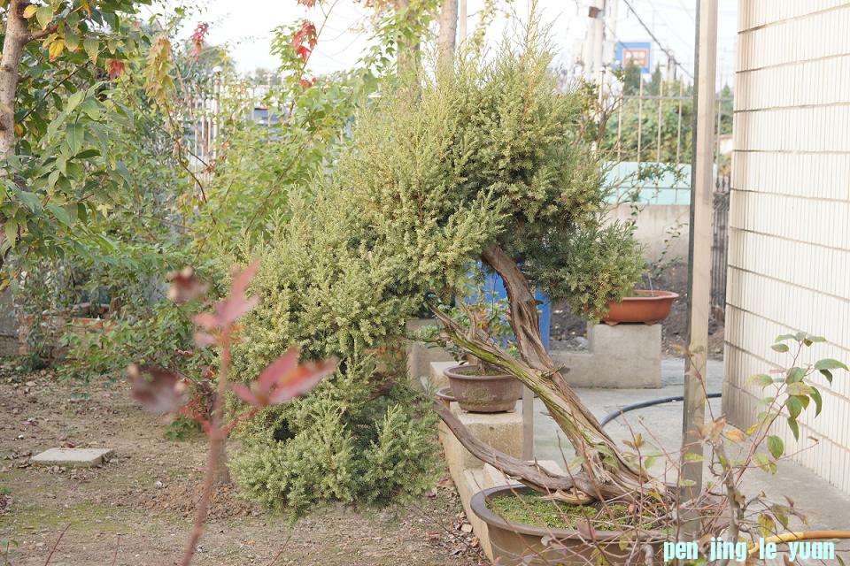 DSC00255.JPG
