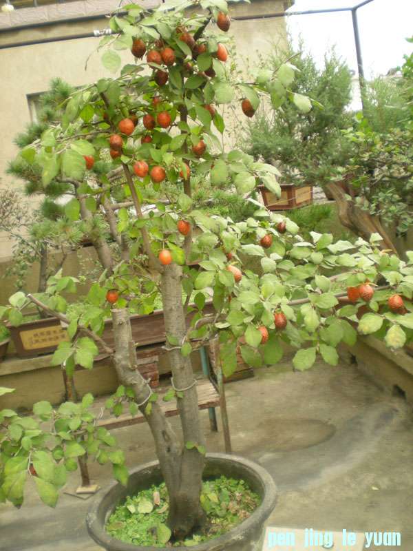 DSCN2171.JPG