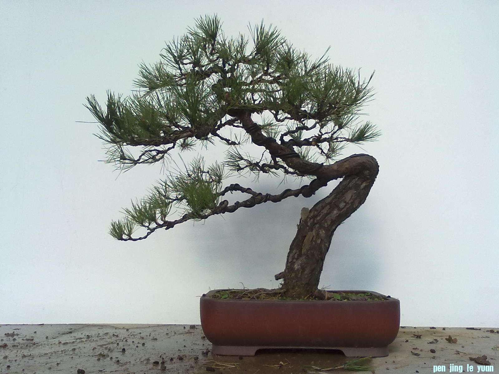 201111211076.jpg