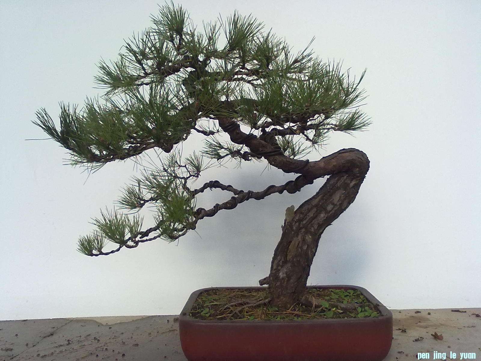 201111211074.jpg
