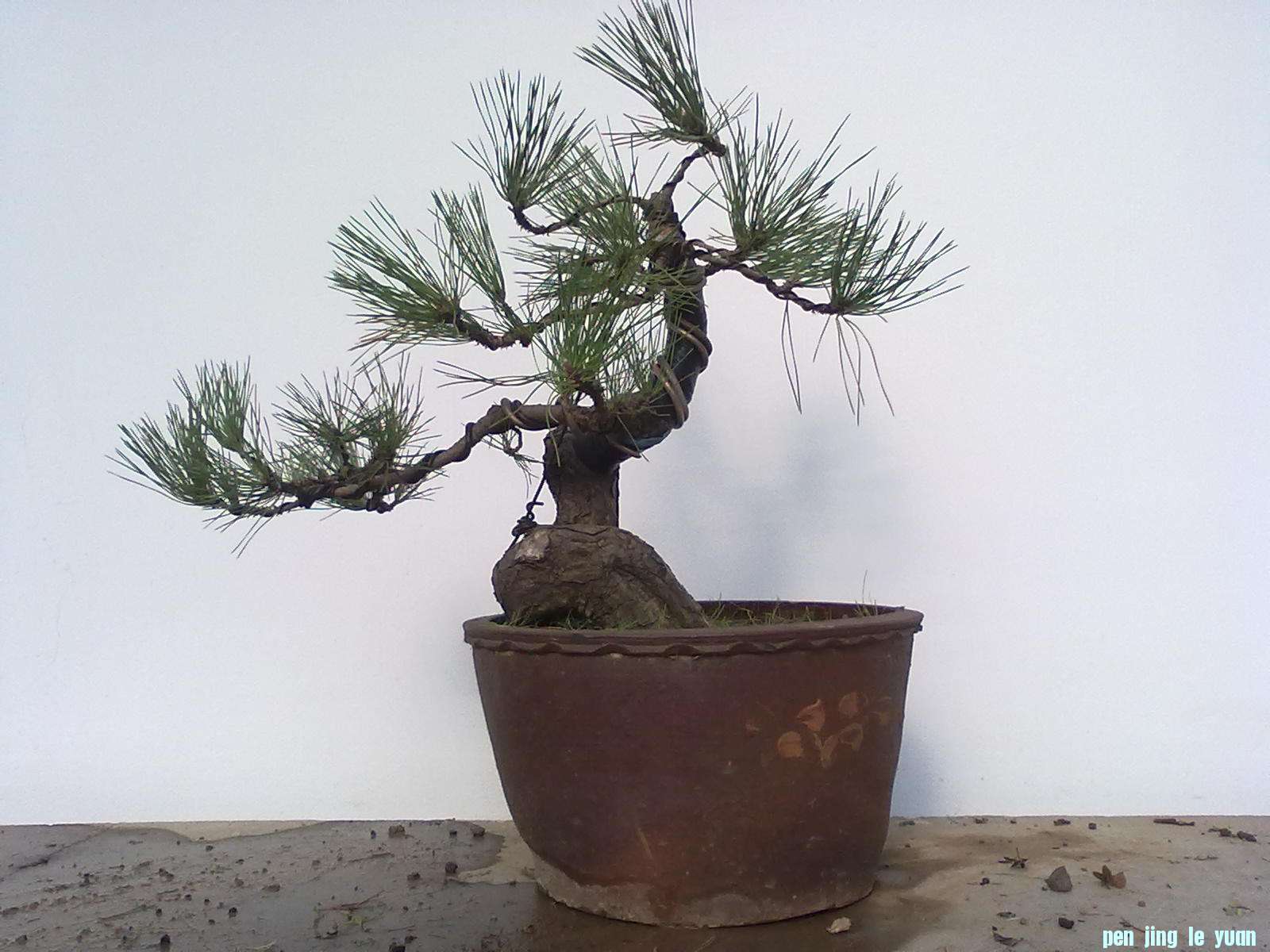 201111211078.jpg