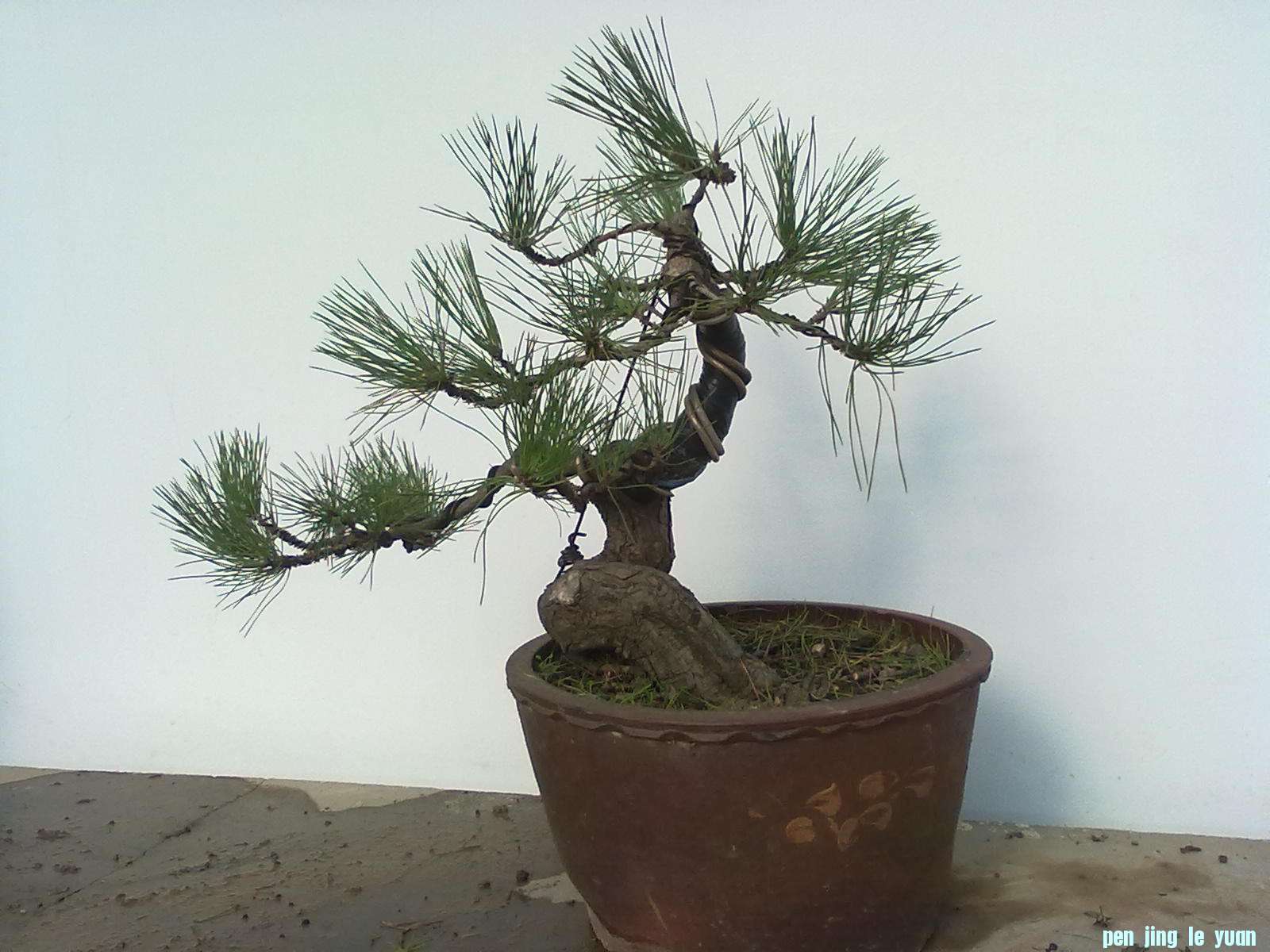 201111211079.jpg