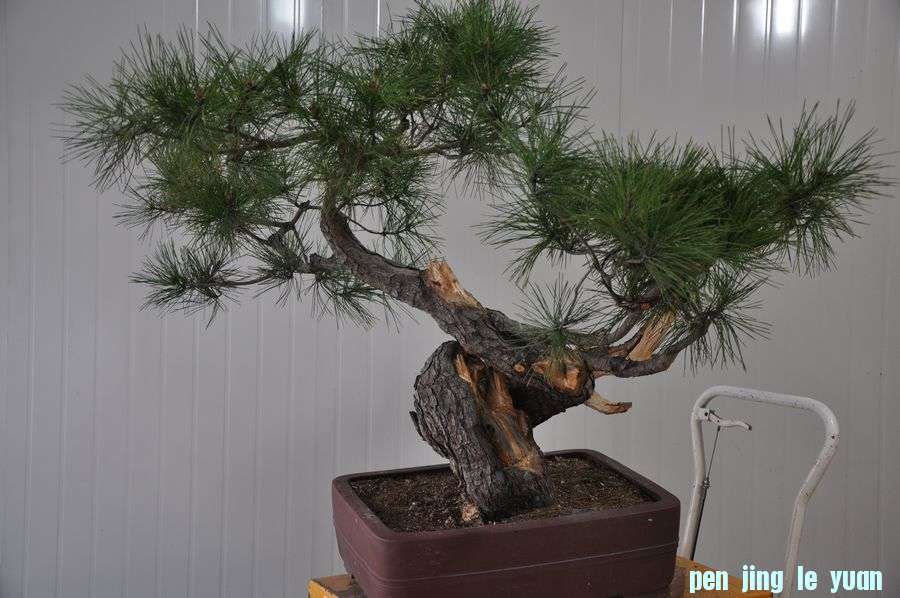 Ƭ 034.jpg