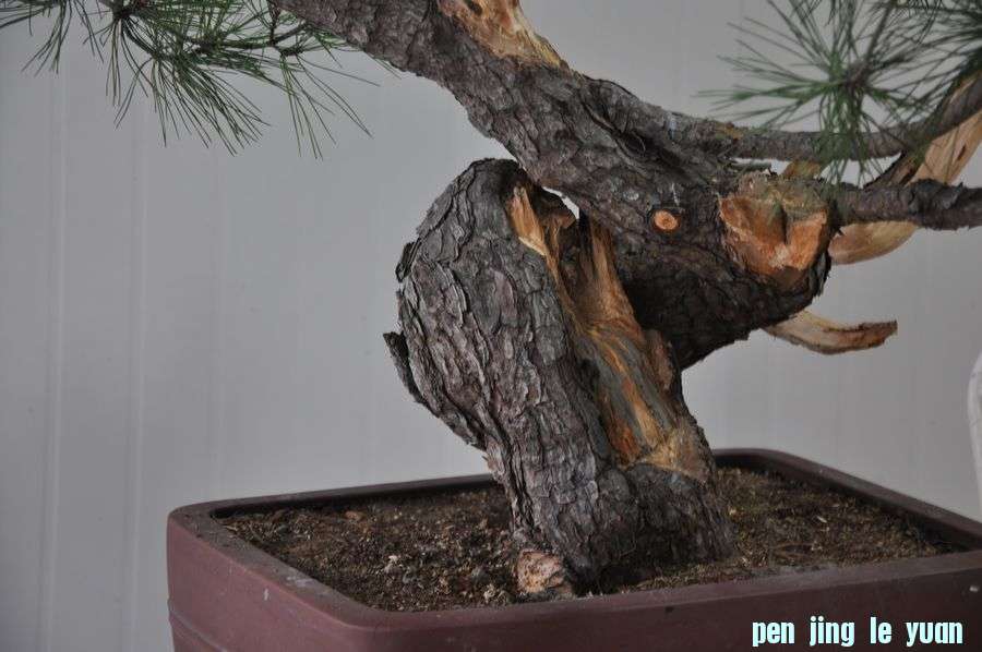 Ƭ 036.jpg