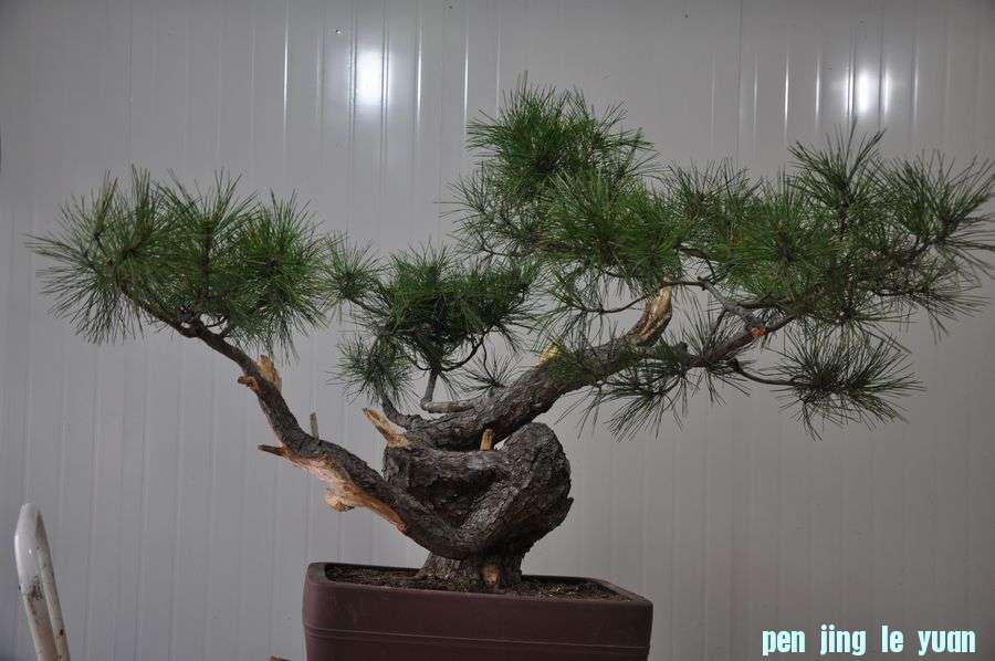 Ƭ 039.jpg