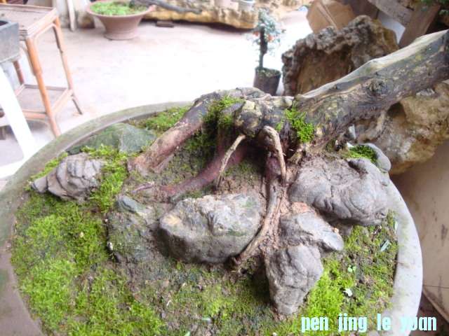 DSC05480.JPG