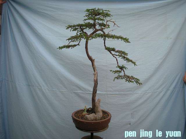 С DSCN3718.jpg