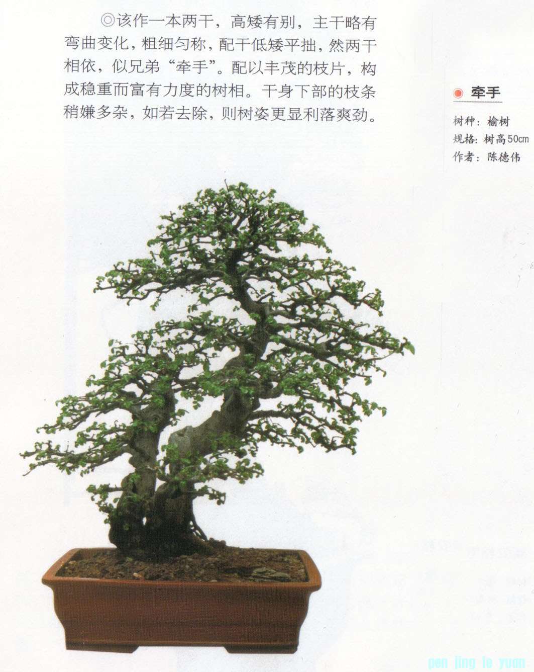 µΰǣ֡.jpg