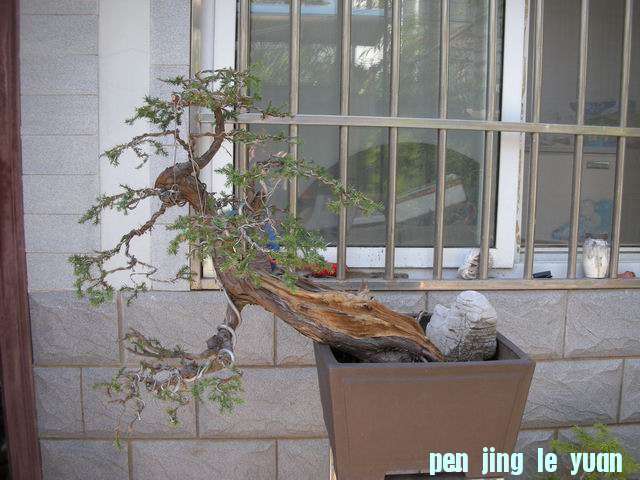 ������С DSCN2350.jpg