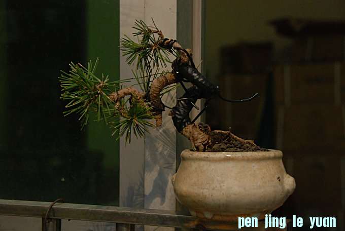 DSC_0396.JPG