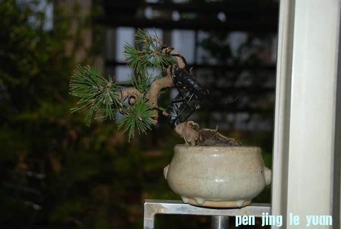 DSC_0385.JPG