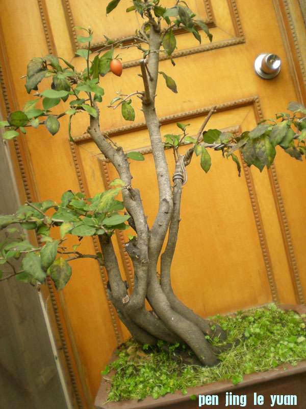 DSCN2156.JPG